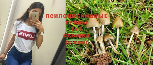 трава Краснослободск