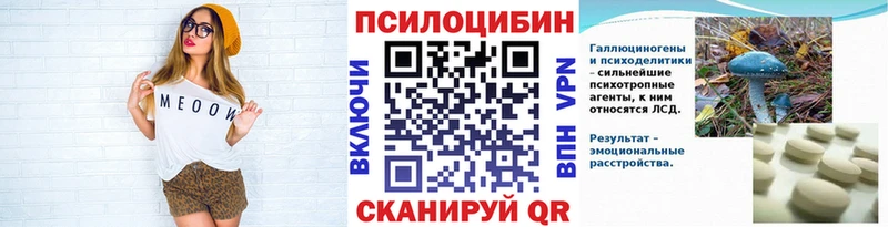 Купить где  Бабушкин  Галлюциногенные грибы Psilocybine cubensis 